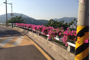 부산시, 골목길 가드닝 운동 활성화 추진