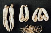 충남도, 백삼 가공 표준화 사업에 30억 지원
