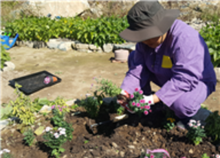 농진청, 치유농업 효과 ‘표준 평가 기준’ 국내 최초 제시...정신건강 개선 수치화
