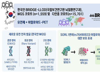 질병관리청 국립보건연구원, 알츠하이머병 새 유전요인 규명...정밀의학 기반 치료 길 연다