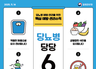 당뇨병 유병률 증가… 질병청, 연령대별 맞춤 예방·관리 정책 강화