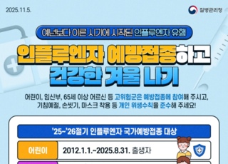 질병청, 인플루엔자 환자 급증에 예방접종 긴급 권고...임신부·어르신 접종률 집중 관리