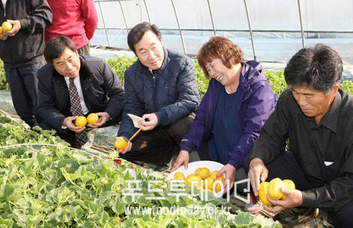 나주 참외 수확현장을 찾은 이낙연 전남도지사