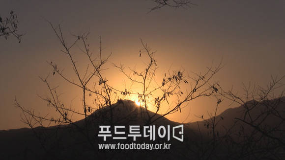 인천 강화군 연미정 해돋이