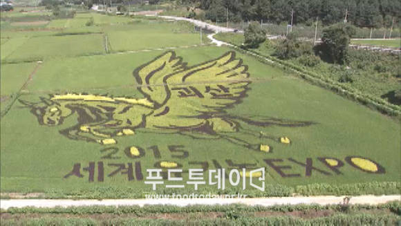 괴산 세계유기농엑스포