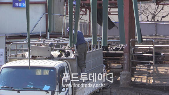 도축장 입구