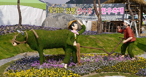 양평 산수유. 한우축제 (양평 산수유.한우축제조직위원회)