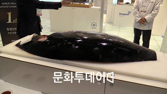 참다랑어