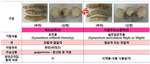 백수오, 이엽우피소 비교표 (한국소비자원)