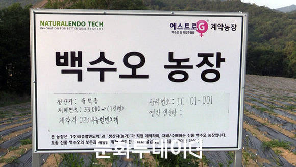 충북 제천시 백수오 밭