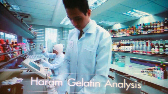 할람 (출처:2015.4.29 식품의약품안전처 주최 할랄시장 진출 희망 기업대상 설명회)