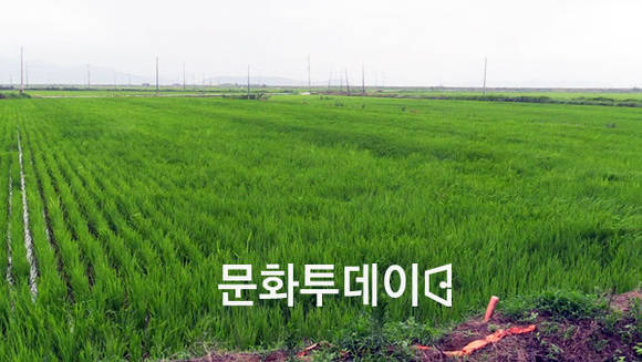 인천시 강화군 교동면