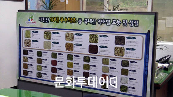 제천산 10대 약초