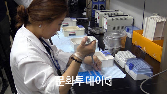 식약처 백수오 진위여부 검사