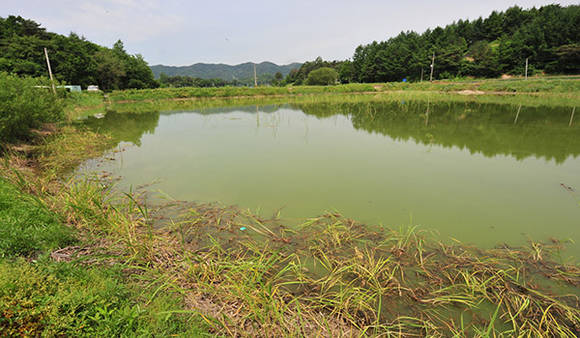 제천시 산곡동 못골저수지