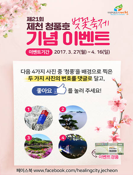 제천시 '페이스북' 벚꽃축제 이벤트 포스터