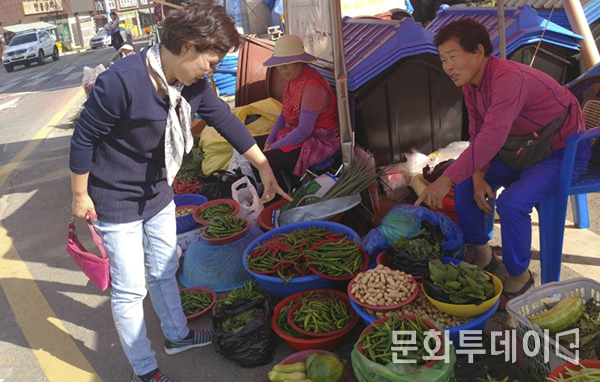 온수리 5일 장터에서 동네주민들이 나와 장을 보고 있다