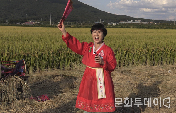 연예인 홍보단 민주