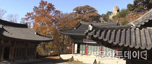 신흥암 뒤에 우뚝솟아 보이는 것이 천진보탑이다