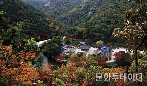 포항 12경. 운제산 오어사 사계