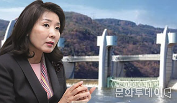 자유한국당 나경원 원내대표
