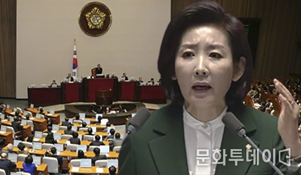 나경원 자유한국당 원내대표
