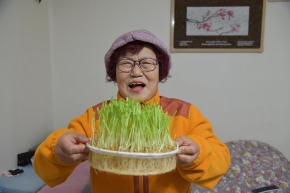 새싹 키트를 받은 처인구 삼가동 김정복 어르신