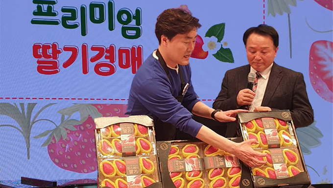 논산 프리미엄 딸기 경매에서 논산킹스베리딸기가 1과당 5만 5천원에 낙찰되는 기염을 토했다.