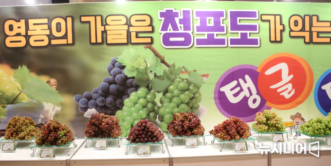 2022 영동포도축제