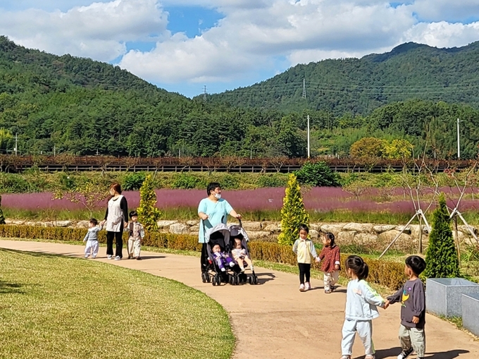 핑크뮬리 (장흥군)