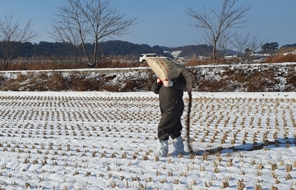 2022 겨울철새 먹이주기 행사 (서천군)