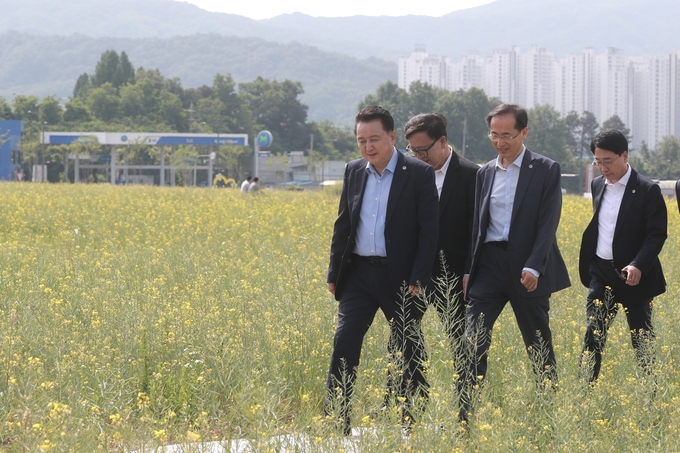 밀레니엄타운 유채꽃 단지 방문 (충청북도)