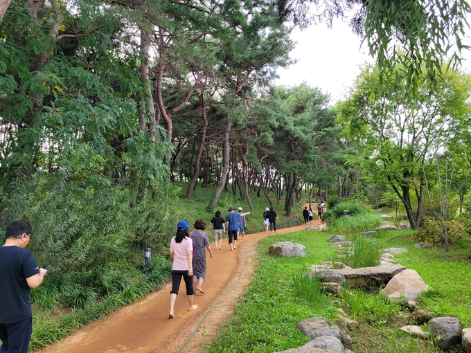천년숲 (경상북도)