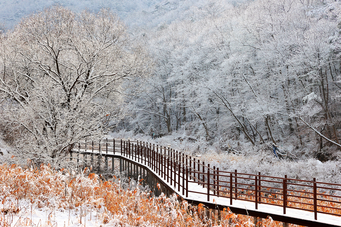 화양동 계곡 (괴산군)