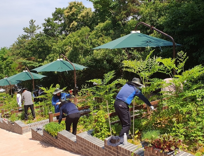 산림치유프로그램 (전라남도)