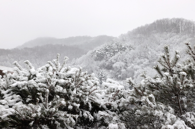 겨울왕국’으로 변한 괴산 설경 (괴산군)
