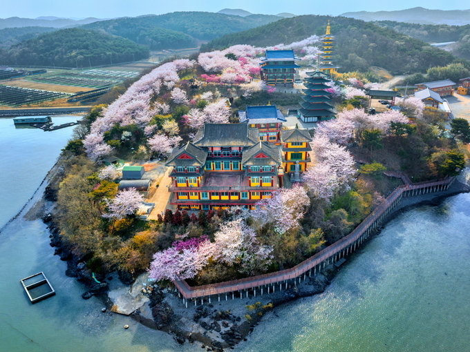 봄바다로 둘러싸인 안면암 (충청남도)