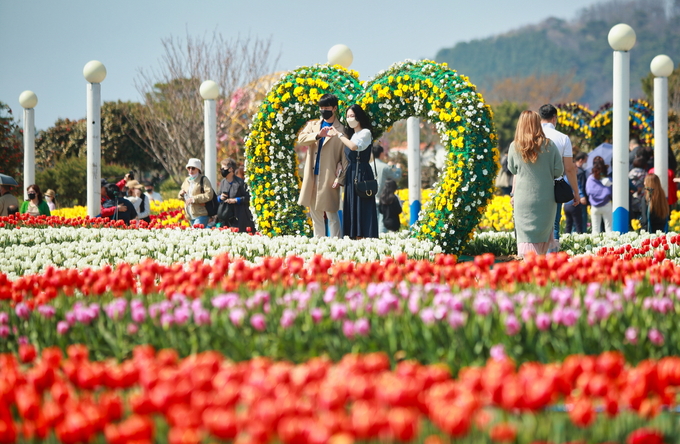 2024 태안튤립축제 (코리아플라워파크) (충청남도)