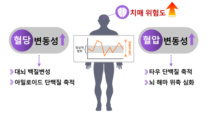 알츠하이머병 지표 (질병관리청 제공)