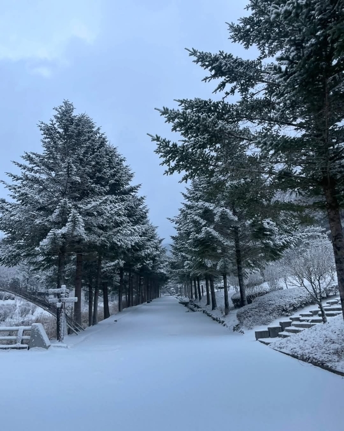 미동산수목원 (충청북도)