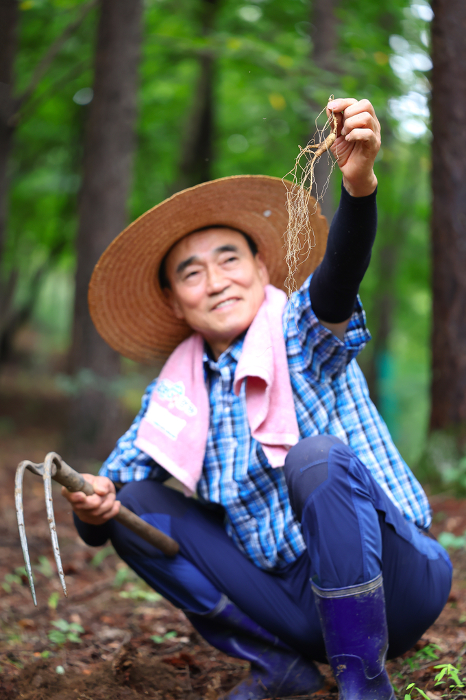 함양산삼 (함양군)