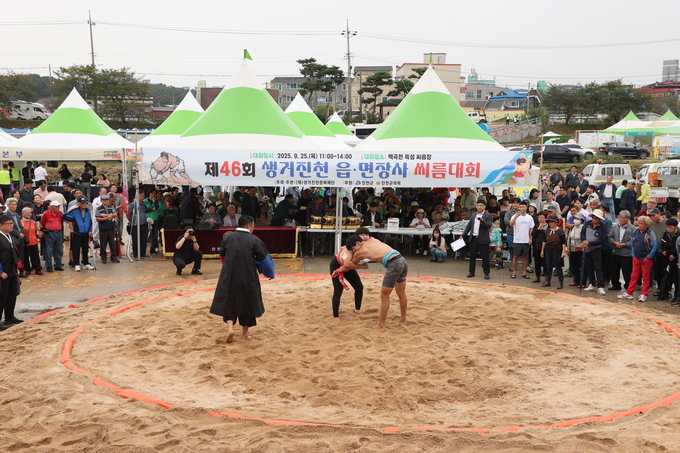 제46회 생거진천 문화축제 (진천군)