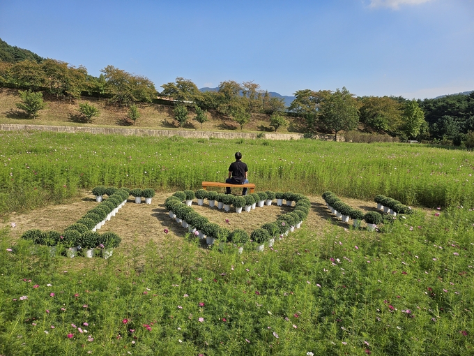 충청북도자치연수원 (충청북도)