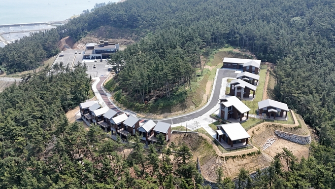 원산도자연휴양림 (충청남도)