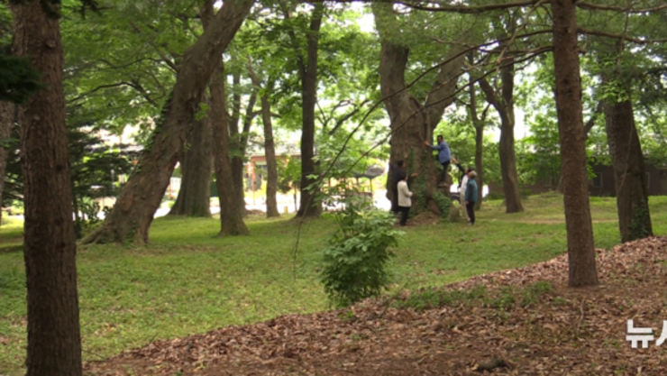 문체부, 웰니스 관광 클러스터 6곳 선정…대구·부산·인천·강원·전북·충북