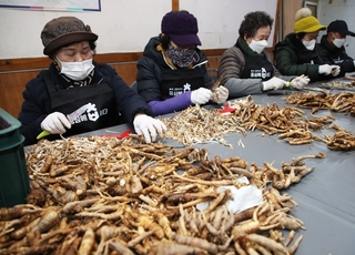 충북 ‘일하는 밥퍼’ 누적 참여 50만명 돌파…전국 최초 노인복지 모델 확산