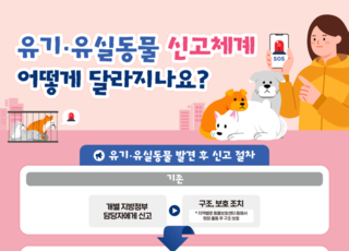 유실·유기동물 신고 더 쉬워진다…농식품부 신고체계 개선