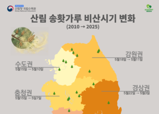 국립수목원 “송홧가루 비산 시기 빨라졌다”…기후변화 영향 가시화